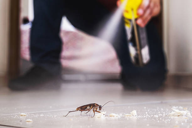 Best Cockroach Control Services  in Inverness Highlands North, FL